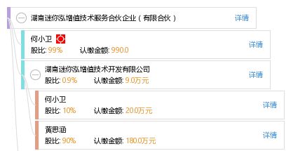 湖南迷你泓增值技术服务合伙企业（有限合伙）综合信息概览